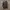 Compagno Casual Hoody Pria gray photo 1