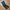 Mountain Hardwear Sportswear Pria black photo 1