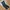 Mountain Hardwear Sportswear Pria Black