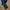 Mountain Hardwear Sportswear Pria black photo 8