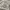 Forty Percent Against Rights FPAR Streetwear Skater Sweater Pria gray photo 4