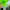 Avant Garde Minimalist Hoody Pria green photo 2
