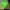 Avant Garde Minimalist Hoody Pria green photo 1