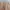 Vintage Streetwear Casual pants Pria tan cream photo 2