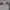 The North Face Casual Track jacket Pria gray photo 2