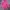 Adidas Luxury Casual Sweater Wanita pink photo 1