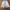 Balenciaga Streetwear Luxury Jeans Pria navy gray photo 3