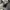 Balenciaga Streetwear Luxury Jeans Pria navy gray photo 8
