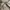 Stussy Vintage Y2K Casual shirt Pria tan photo 5