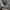 Head Casual Sweater Pria gray photo 2