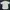Balenciaga Casual Formal Shirt Pria White