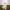 Y2K Casual Casual pants Pria white photo 2