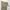 MUSINSA STANDARD Streetwear Casual Casual pants Pria tan photo 4
