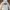 Y2K Casual Bomber jacket Pria white photo 1