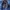 Sportswear Casual Windbreaker Pria blue photo 3
