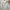 Converse Sportswear T-shirt Pria white photo 5