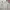Converse Sportswear T-shirt Pria white photo 4