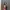 Y2K Casual Mini skirt Wanita pink photo 1