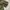 Beanpole Streetwear Sportswear Windbreaker Pria green photo 6