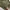 Beanpole Streetwear Sportswear Windbreaker Pria green photo 5