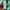 Japanese brand Casual Sweatshirt Pria green photo 4