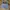 Minimalist Crop top Wanita blue photo 1