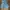 Fairy Midi dress Wanita blue photo 1