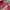 Y2K Hoody Pria red photo 1