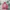 Y2K Hoody Pria red photo 2