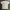 Vintage Y2K T-shirt Pria white photo 4