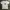 Vintage Y2K T-shirt Pria white photo 1