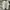 Puma Streetwear Sneakers Pria tan photo 7