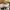 Puma Streetwear Skater Sneakers Pria tan photo 8