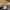 New Balance Vintage Streetwear Sneakers Pria blue photo 7