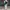 Eastmountside Casual Shoulder bag Wanita green photo 1