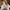 New Balance Streetwear Sneakers Pria white photo 8