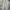 Minimalist Casual Culotte Wanita cream photo 2