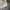 Minimalist Casual Culotte Wanita cream photo 6