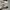 Minimalist Casual Culotte Wanita cream photo 5