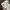 New Balance Sportswear Sneakers Pria tan photo 3