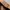 Kangol Luxury Casual Hat Pria brown photo 3