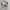 Kangol Luxury Casual Hat Pria cream photo 1