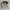 Kangol Luxury Casual Hat Pria cream photo 5