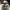 Kangol Luxury Casual Hat Pria cream photo 3