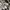 Hurley Streetwear Sportswear Windbreaker Pria multicolor photo 4