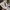 New Balance Sportswear Sneakers Pria white gray photo 3