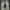 New Balance Sportswear Sneakers Pria white gray photo 4