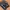 Nike Skater Sportswear Sneakers Pria black photo 4