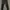 Skechers Sportswear Casual Sweatpants & Joggers Pria black photo 1