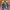 New Balance Streetwear Sportswear Sneakers Pria multicolor photo 4